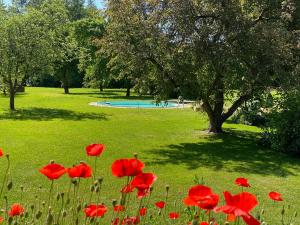- un groupe de fleurs rouges dans un parc avec une piscine dans l'établissement Apartment mit romantischem Garten an der Märchenstraße!, à Reinhardshagen