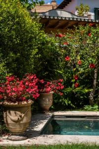 Villa Elisa في مالقة: قدور كبيرة من الزهور ومسبح