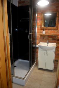 a bathroom with a shower and a sink at Magic Wood Studio Apartament Koniewo in Lidzbark Warmiński