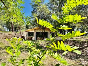 une petite maison dans les bois avec des feuilles vertes dans l'établissement Le doux refuge, à Gagnières