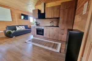 a kitchen with a stove and a couch in a room at Ferienhäuschen in Mariahof in Mariahof