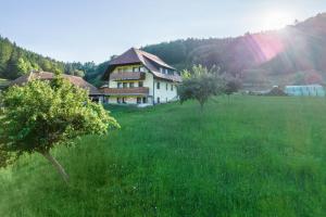 a house in the middle of a field with trees at Ferienwohnung Ohnemus in Schuttertal