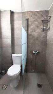 a bathroom with a toilet and a glass shower stall at sun kiss houses in Áyios Spirídhon