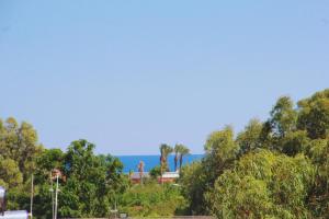 a group of trees with the ocean in the background at Edem Flower Hotel in Kemer