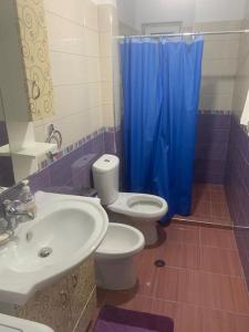 baño con lavabo, aseo y cortina de ducha azul en Very nice and romantic apartment, en Pogradec