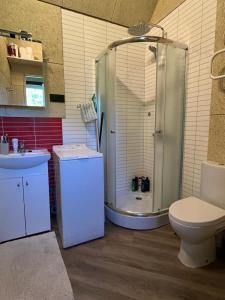 a bathroom with a shower and a toilet and a sink at BIRZI Parkside Lodge 