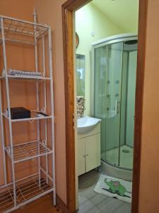 コスティネシュティにあるVila Pestisorul Costinestiのバスルーム(シャワー、シンク、鏡付)