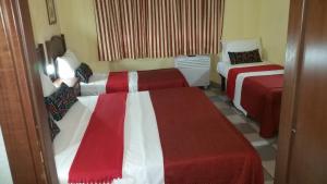 Postel nebo postele na pokoji v ubytování Hotel Chopin