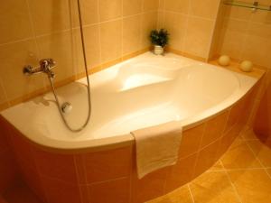 a bath tub in a bathroom with a shower at Apartmány Elzet in Třeboň