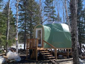 a green tent in the woods with a wooden porch at dôme près du lac in Saint-Narcisse-de-Rimouski