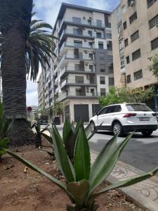 una palmera y un coche blanco en una calle de la ciudad en Derb Omar,Tram (L1,L2,L3),Parking and wifi gratuit en Casablanca