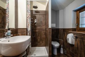 La salle de bains est pourvue d'un lavabo et de toilettes. dans l'établissement Alpine Forest Hotel, à Champoluc