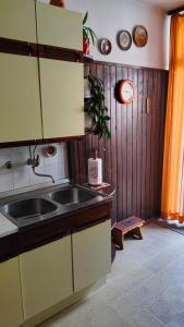 a kitchen with a sink and a counter top at Eleonora in Koper