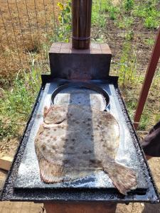 a fish is sitting in a bird bath at Makeeda Camping in Vama Veche +46 photos