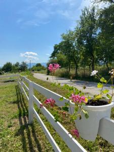 a white fence with a pot of flowers on it at Hill House Emir in Bihać +8 photos