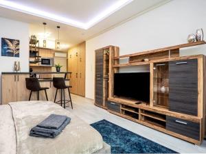 a bedroom with a large entertainment center with a large television at Vidra-lak with Private Parking in Budapest
