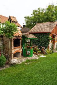 una casa con un horno de ladrillo en un patio en Andrada's House Soars, en Şoarş