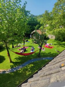 a group of people laying in hammocks in a park at Kerkje De Kleine Antonius in Zeerijp