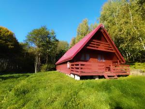 a red barn with a red roof on a green field at DOLINA NAD MOŁSTOWĄ in Starnin +7 photos