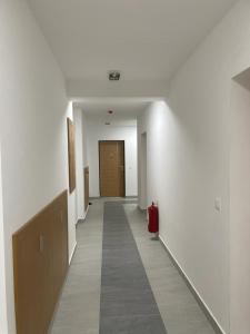 Fotografie z fotogalerie ubytování luxury Pool Apartment Jagodina v destinaci Jagodina