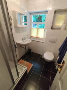 ein Bad mit einem Waschbecken und einem WC in der Unterkunft Ferienwohnung 3 Am Zahnsborn in Bad Schandau