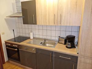 克里米喬的住宿－Monteurwohnung Zwickauer Land，厨房配有水槽和台面