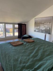 ein Schlafzimmer mit einem großen grünen Bett mit zwei Kissen darauf in der Unterkunft Polderzicht in Castricum