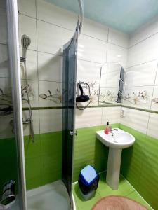 baño verde y blanco con lavabo y ducha en У Болгарина, en Mykulychyn