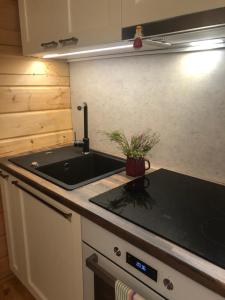 una cocina con fregadero y una maceta en la encimera en Juniper holiday house in Kassari with sauna en Hiiumaa