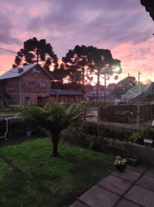 un árbol en un patio con una puesta de sol en el fondo en Apartamento Erthal en Canela