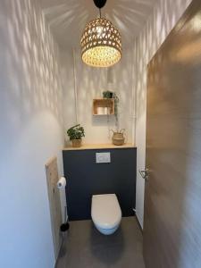 Elle comprend une petite salle de bains pourvue de toilettes et d'un lustre. dans l'établissement Studio cosy et lumineux bike parking, à Saverne