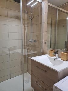 ein Bad mit einer Dusche und einem Waschbecken in der Unterkunft Studio cosy et lumineux bike parking in Saverne