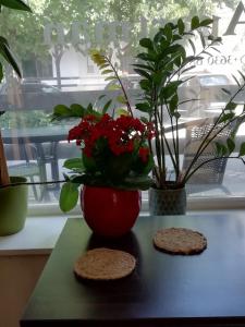 two cookies and a red vase with flowers on a table at Céhmesterek apartman in Eger
