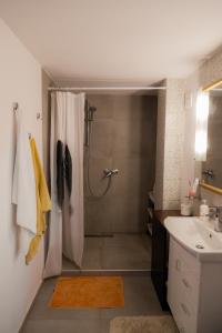 a bathroom with a shower and a sink at Vila Lio & Restaurant Devojacki Bunar in Novi Vladimirovac