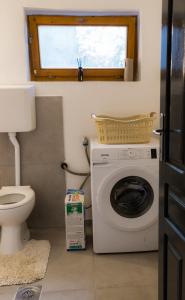 a bathroom with a washing machine and a toilet at Vila Lio & Restaurant Devojacki Bunar in Novi Vladimirovac