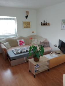 Posezení v ubytování apartman.lara