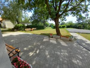 un arbre dans un parc avec un banc et des fleurs dans l'établissement Márianosztrai Zarándokszálláshely, à Márianosztra