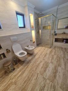 a bathroom with a toilet and a sink and a shower at Vila Alemary in Năvodari