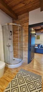 a bathroom with a shower with a toilet and a rug at Domek Przy Rzece in Kazimierz Dolny