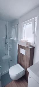 La salle de bains est pourvue d'une douche, de toilettes et d'un lavabo. dans l'établissement Mobile home Greta, à Klenovica