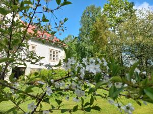 einen Garten mit weißen Blumen vor einem Haus in der Unterkunft Bobackan pihatorpan kammarit in Alvettula