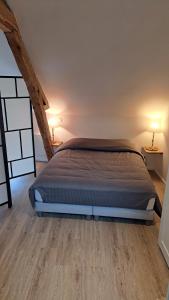 1 dormitorio con 1 cama y 2 lámparas en 2 mesas en Les petits greniers, en Jonquières