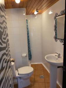 La salle de bains est pourvue de toilettes et d'un lavabo. dans l'établissement Casa de Lilith, à Aren