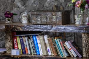 a shelf filled with books and a box at Villa Mestia Hotel in Mestia