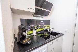 uma cozinha com um lavatório e comodidades para preparar café num balcão em City Apartments FN L7 KLIMATISIERT-mit Küche em Friedrichshafen