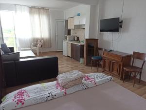 TV a/nebo společenská místnost v ubytování Stai za gosti Bazdarovi