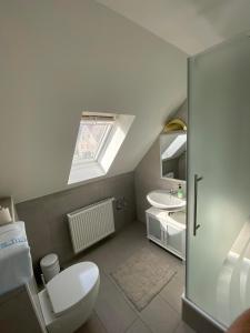 a bathroom with a toilet and a sink at Apartments Feniks in Blomberg +59 photos