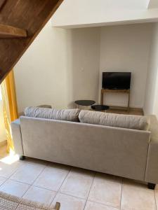 a couch in a living room with a tv at Grand appartement jardins de la Fontaine in Nîmes