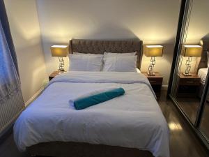 貝德福德的住宿－Stunning private room 2，一张大床,上面有蓝色的枕头