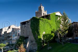 a building covered in green ivy next to buildings at Hotel Ca L'amagat in Bagá